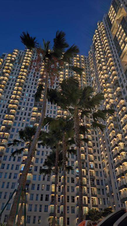 スラバヤにあるApartemen Anderson 03 Pakuwon mall Luxury Studio Apartment Connecting Mall, Pool & City Viewの大きな建物前のヤシの木