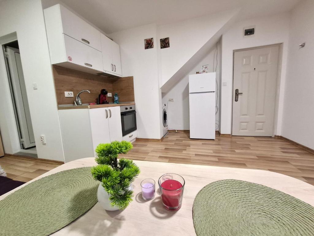 Η κουζίνα ή μικρή κουζίνα στο Ruse Charm Studio 1