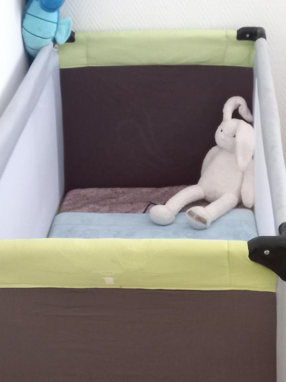 Duplex Éléonore-Lilas – photo 55