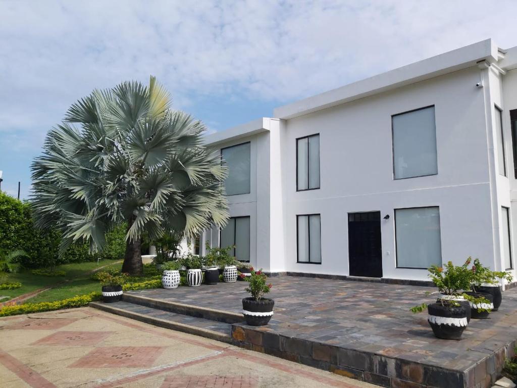 a white house with a palm tree in front of it at Exclusiva casa campestre in Ricaurte