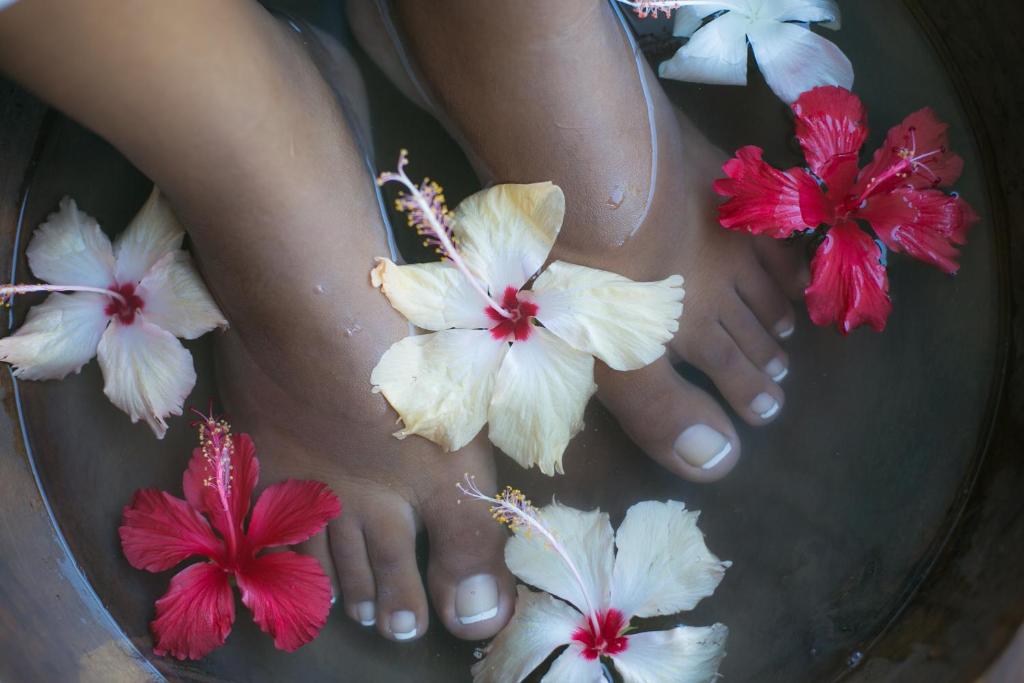 Fotografie z fotogalerie ubytování Le Domaine de L'Orangeraie Resort and Spa v destinaci La Digue