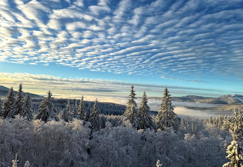 une vue d'un champ enneigé avec des arbres et des nuages dans l'établissement Apartment in Bavorská Ruda, à Bayerisch Eisenstein