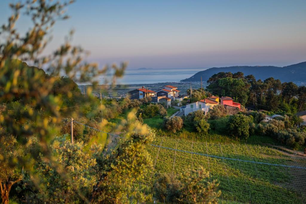 Peisaj natural din apropierea acestui B&B