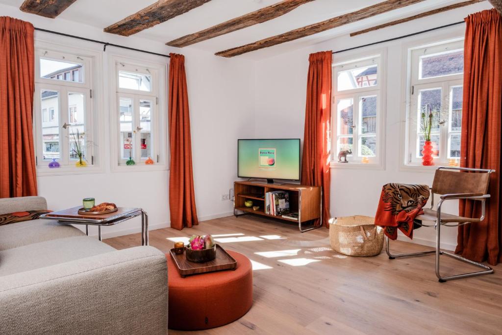a living room with a couch and a tv at Zur Traube - grün in Erbach im Odenwald