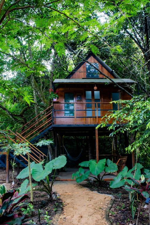 ein Baumhaus mitten im Wald in der Unterkunft Hostal Caño Nevera in La Macarena