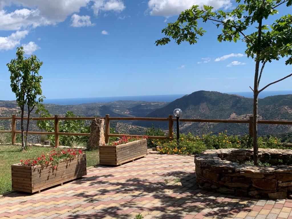 een patio met twee bloembakken en een boom bij TacchiHousePanorama in Jerzu