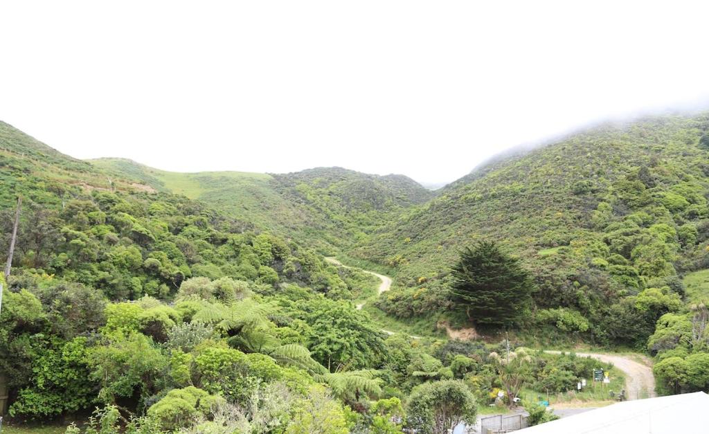 Skyline Sanctuary - Entire Aparment with Luxe Views, Espresso and Parking - Resim 14