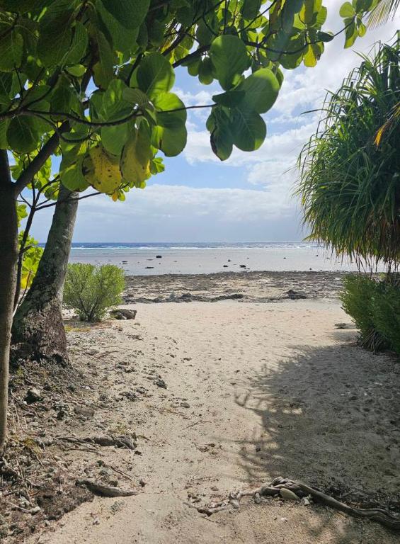 a sandy beach with a tree and the ocean at Rangiroa Maison entière privée 1 chambre 4 personnes climatisée in Ataiti