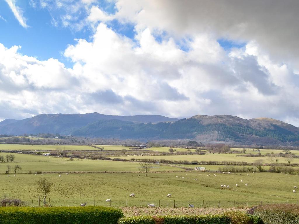 un allevamento di animali che pascolano in un campo verde di The Tottsie a Bassenthwaite