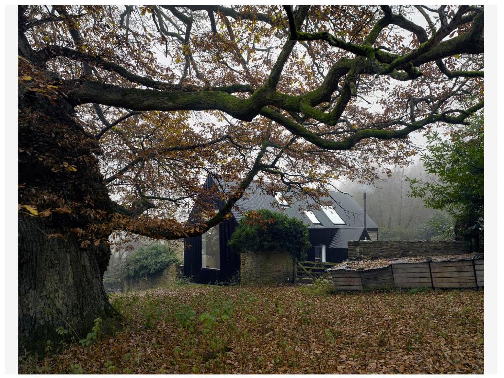 a large tree in front of a house at Croft Lodge Studio in Leominster