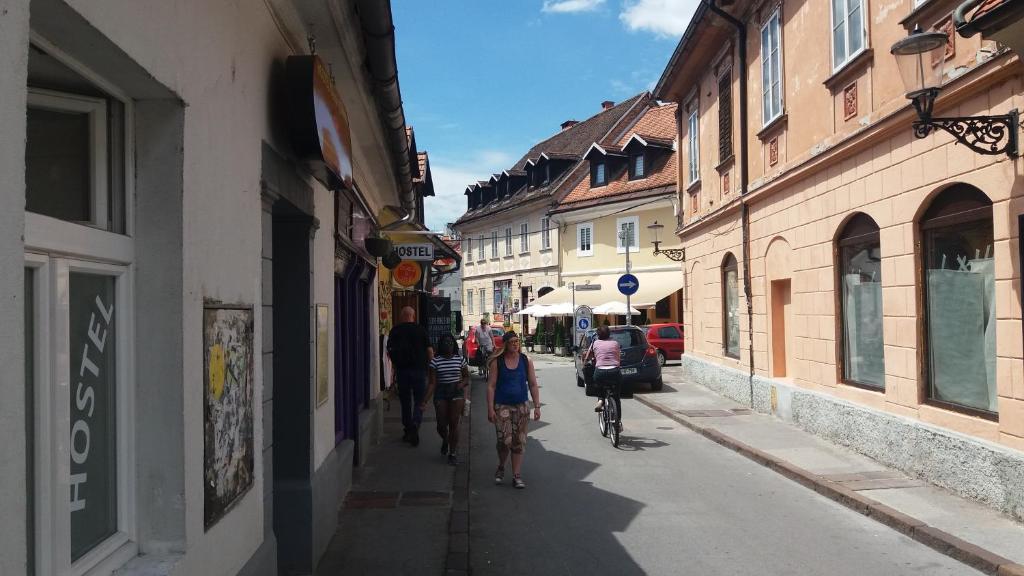 um grupo de pessoas andando por uma rua em Hostel Sleeping Beauty em Ljubljana