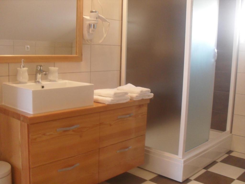 een badkamer met een wastafel en een douche bij Apartment Bogoje in Kučište