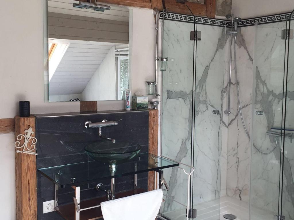 Vannituba majutusasutuses Airport Zürich Elwiras B & B