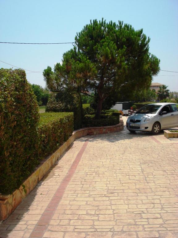Fotografie z fotogalerie ubytování Sofia - Yiota Studios & Apartments v destinaci Tsilivi