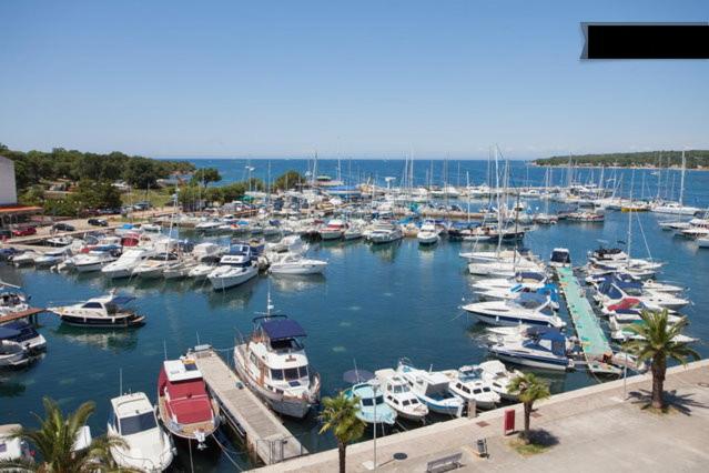 Un montón de barcos están atracados en un puerto en Apartment Dubravka I en Poreč