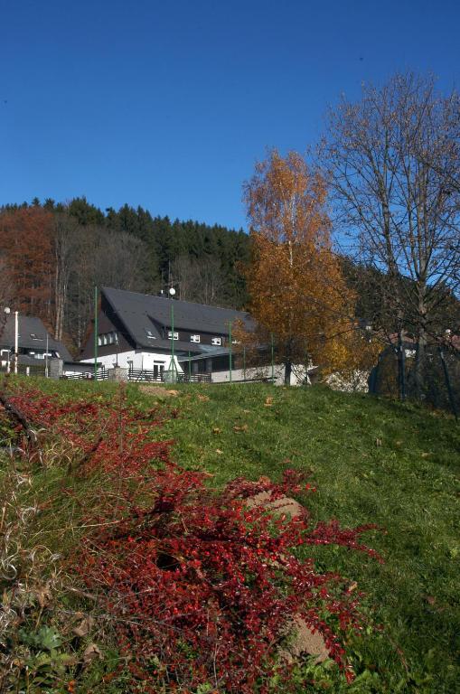 Příroda nedaleko penzionu