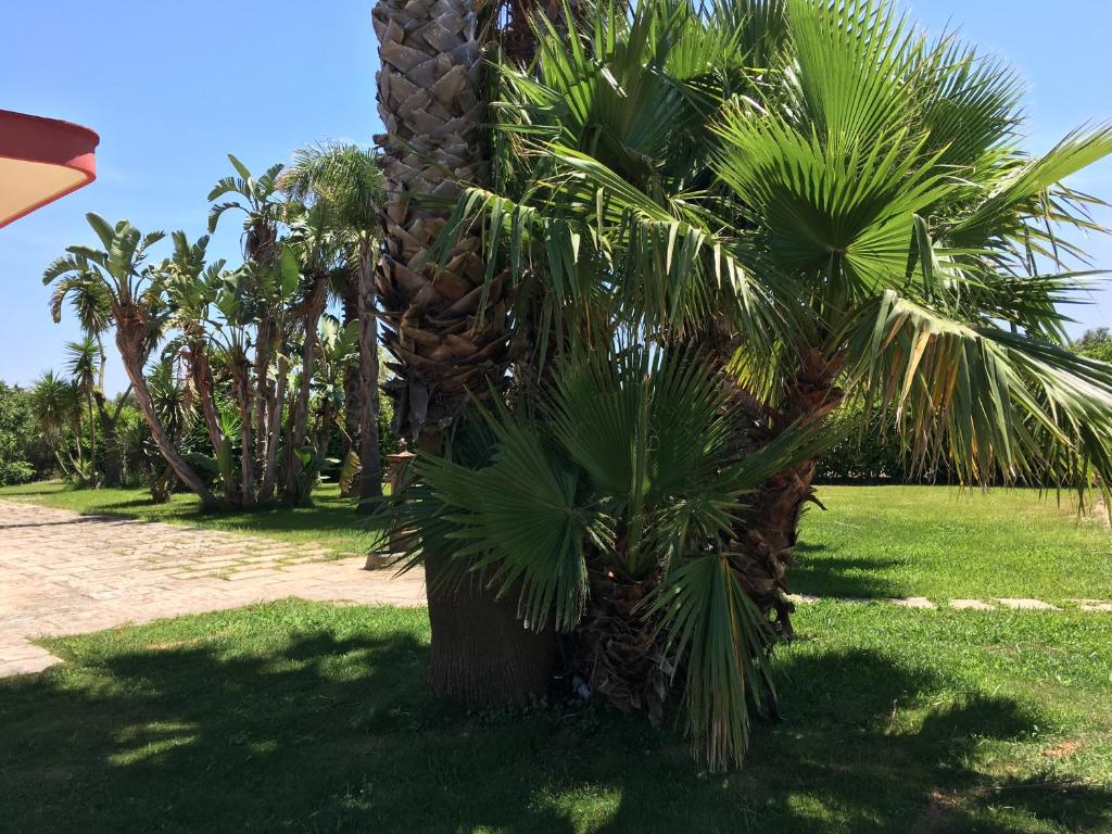 Zahrada ubytování Masseria Patese