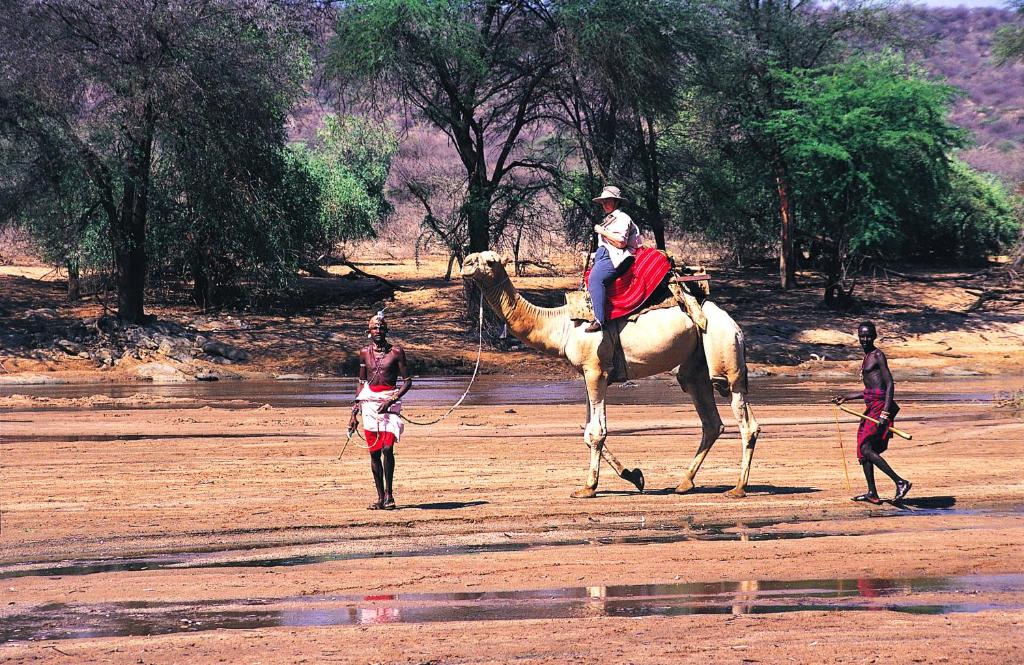 Gäste, die in der Unterkunft Samburu Intrepids Tented Camp übernachten