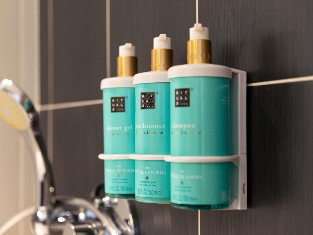 Novotel Suites Paris Expo Porte de Versailles - Resim 16