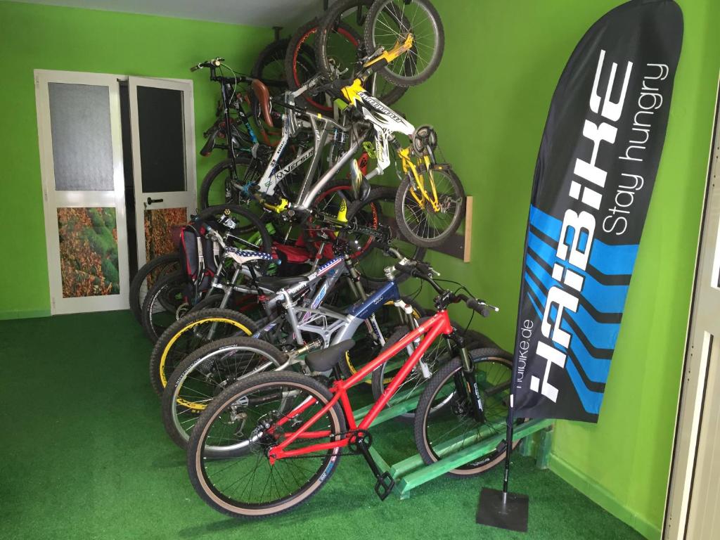 Jízda na kole v ubytování Bike-Hotel Abete nebo okolí
