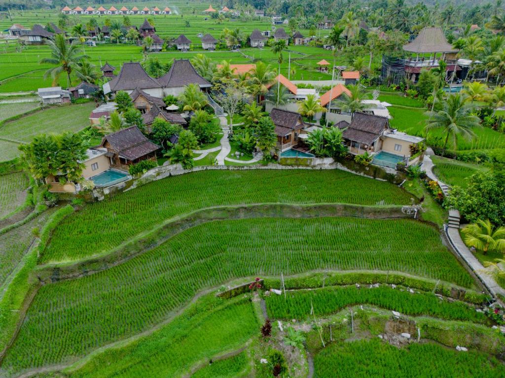 an aerial view of a house in a rice field at Taksu Sebatu Villa in Ubud