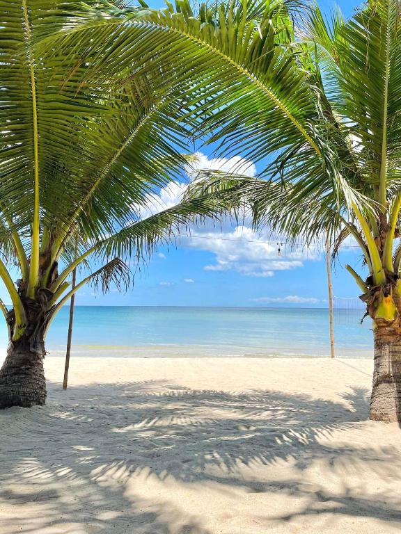 two palm trees on a sandy beach with the ocean at Bocala Beach Resort in Balud