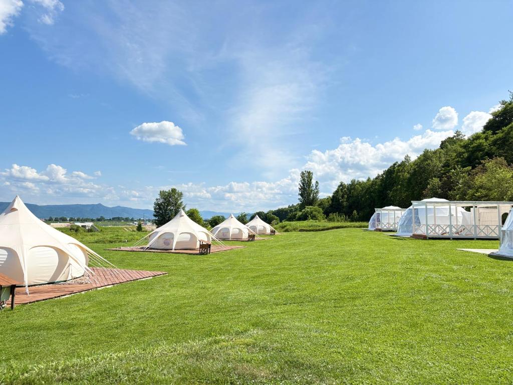 a group of tents in a field with grass at Glamp Sora Furano in Nakafurano