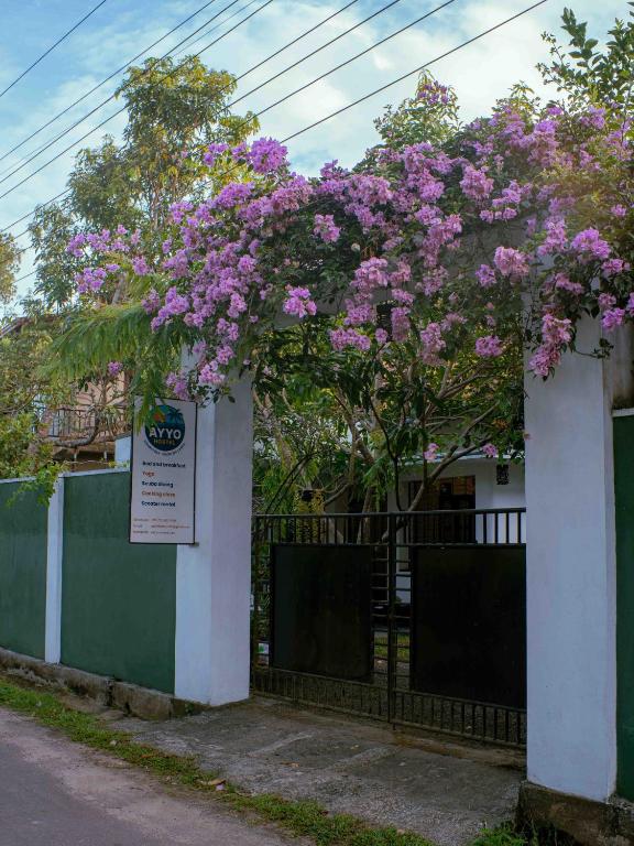Ayyo Hostel
