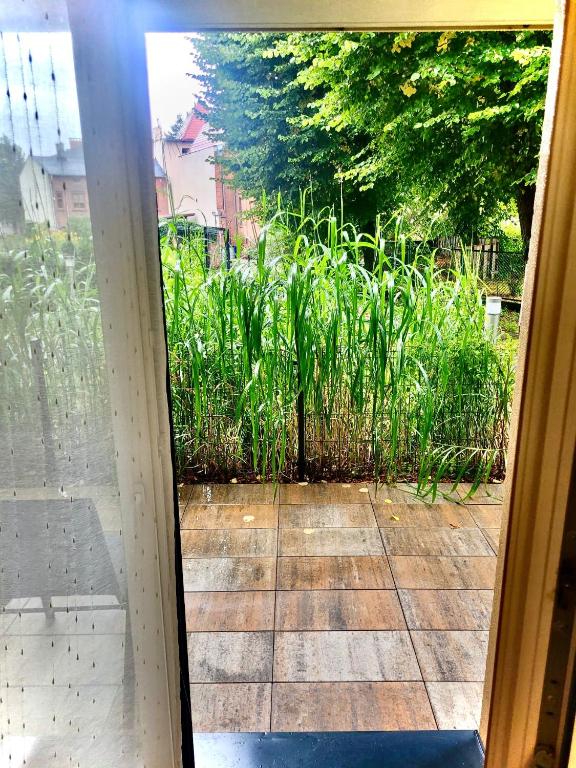 Apartament przy Starówce z tarasem - 5