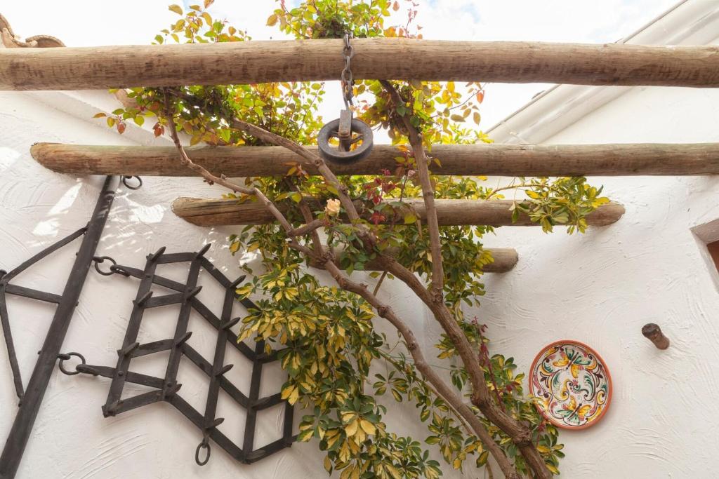 a tree growing out of a wall with a ladder at Casa Rural El Membrillo in Carcabuey