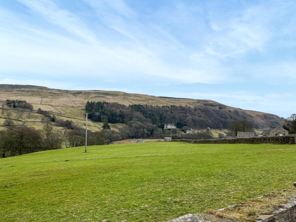 a green field with a hill in the background at 4 Swallowholm Cottage in Richmond