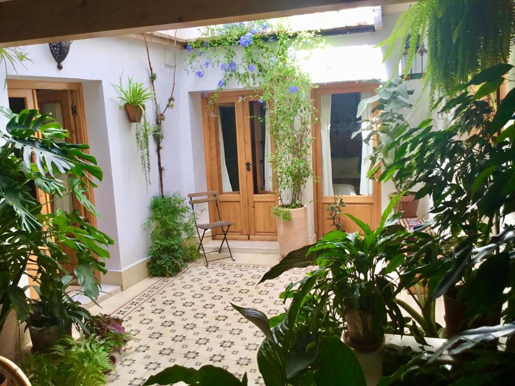 Apartamento en Casa Patio "Pan y Conejo" - 7