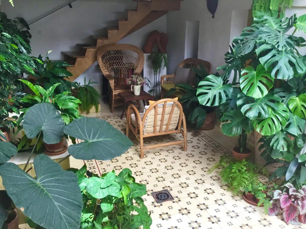 Apartamento en Casa Patio "Pan y Conejo" - 6