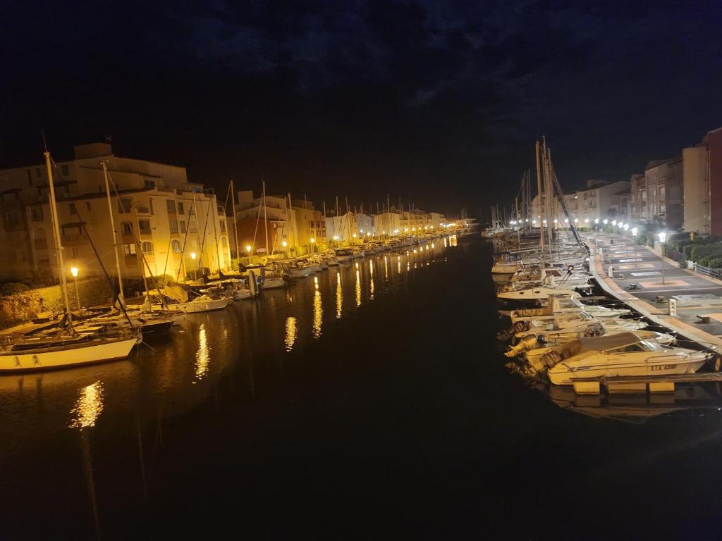Eine Gruppe von Booten, die nachts in einem Hafen vor Anker liegen. in der Unterkunft Brigantine155 in Cap d'Agde