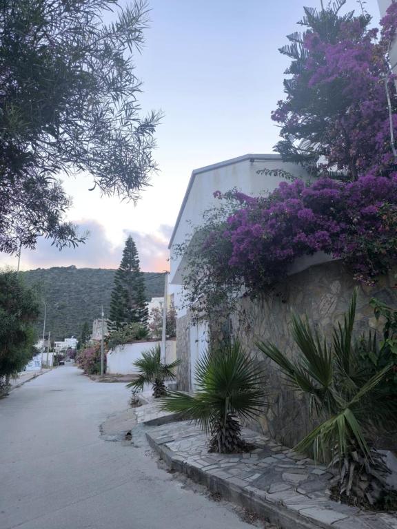 a building with purple flowers on the side of it at Bizerte Tunisia cozy studio in Bizerte