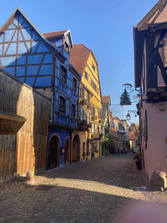 "Vignoble & jardin - Parking privé" à Riquewihr – photo 8