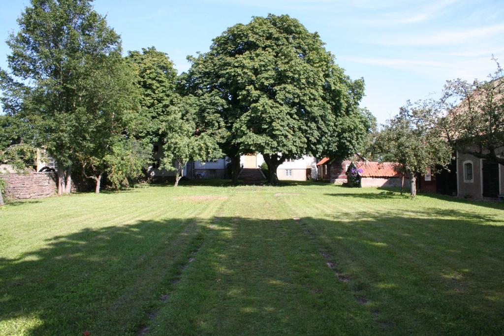 a large grass field with a tree in the middle at Greby Bed & Breakfast in Räpplinge