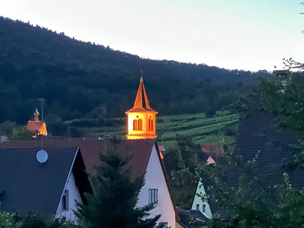 "Vignoble & jardin - Parking privé" à Riquewihr – photo 12