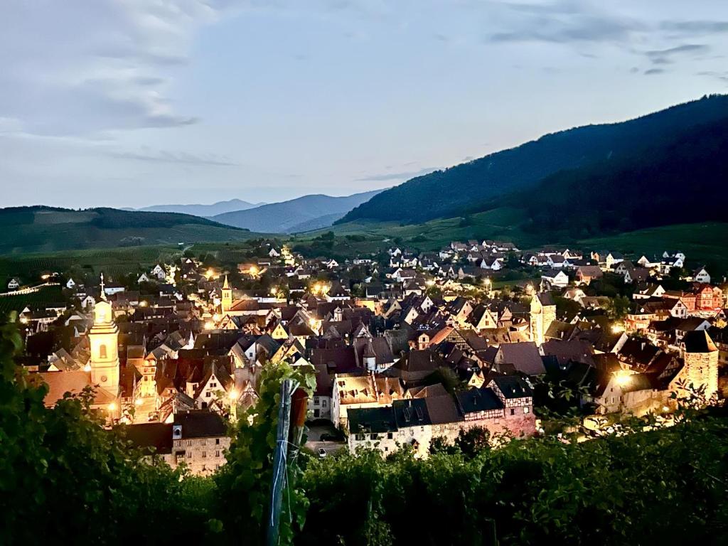 "Vignoble & jardin - Parking privé" à Riquewihr – photo 5