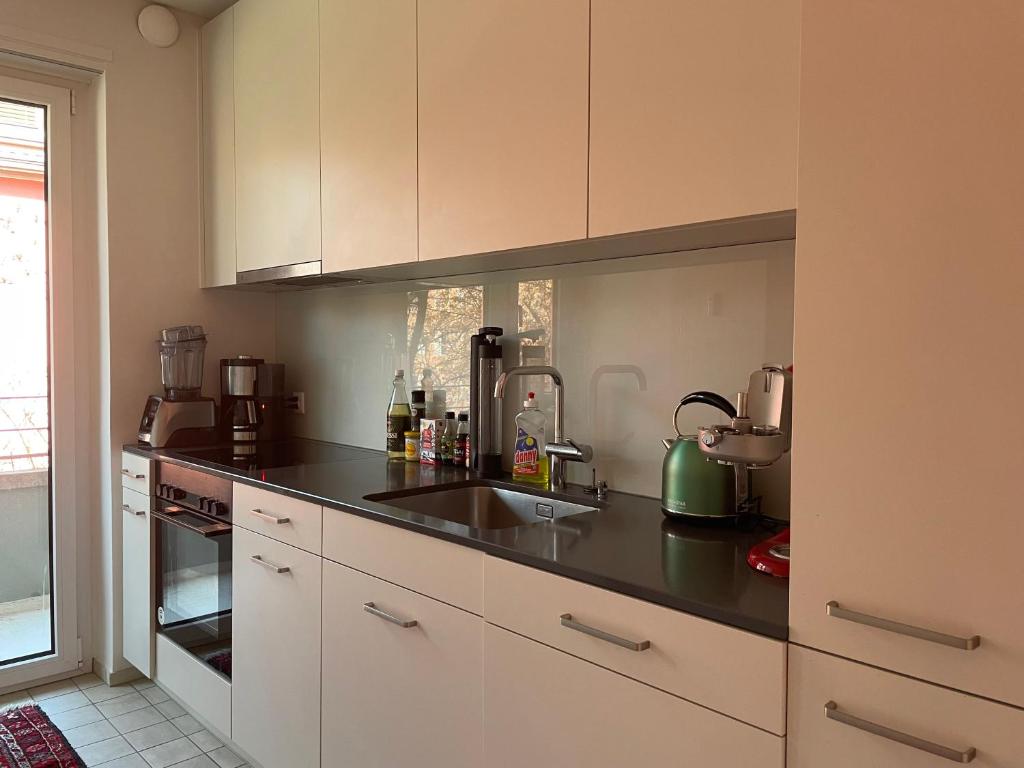 Charming 2 Room Apartment in Peaceful Brunau - Resim 12