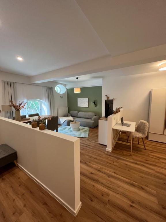 Televisyen dan/atau pusat hiburan di ANER 6 eleganter Loft mit Infrarotsauna in Dresden Weißer Hirsch