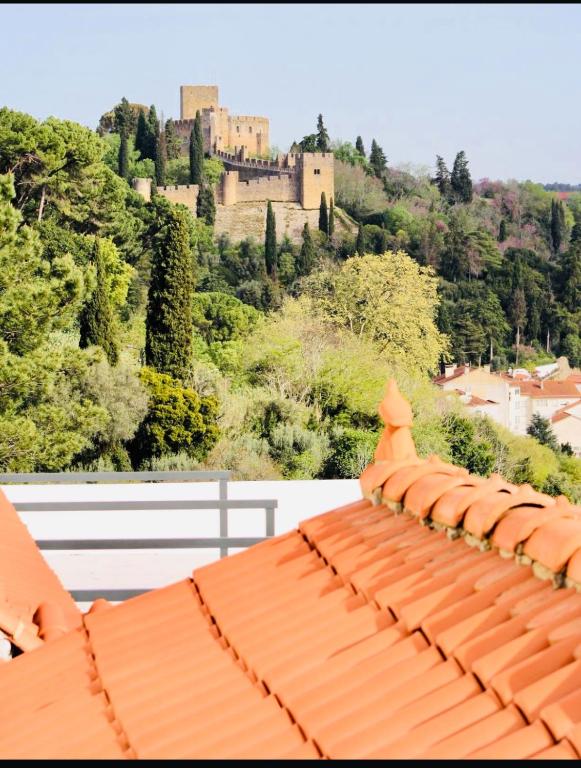 托马尔Vila Pombal Tomar Apartments - Pool & City Views的从屋顶俯瞰城堡