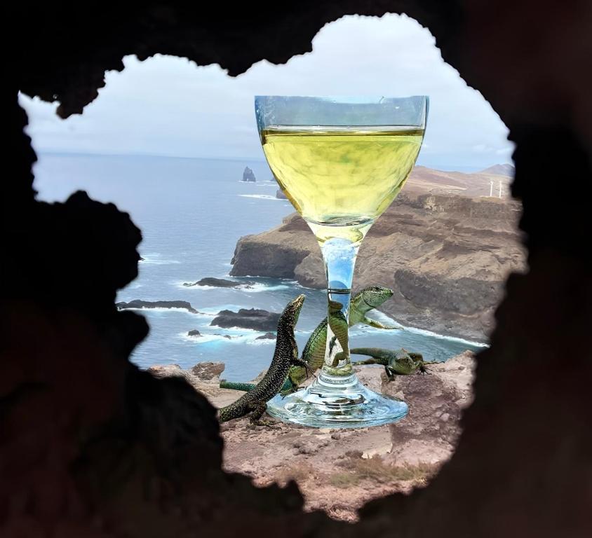 Naturlandskabet i nærheden af campingpladsen