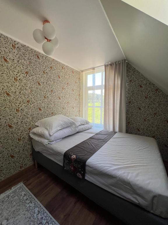 沃鲁Cozy cottage by the lake, next to the old watermill的一间带大床的卧室，带窗户