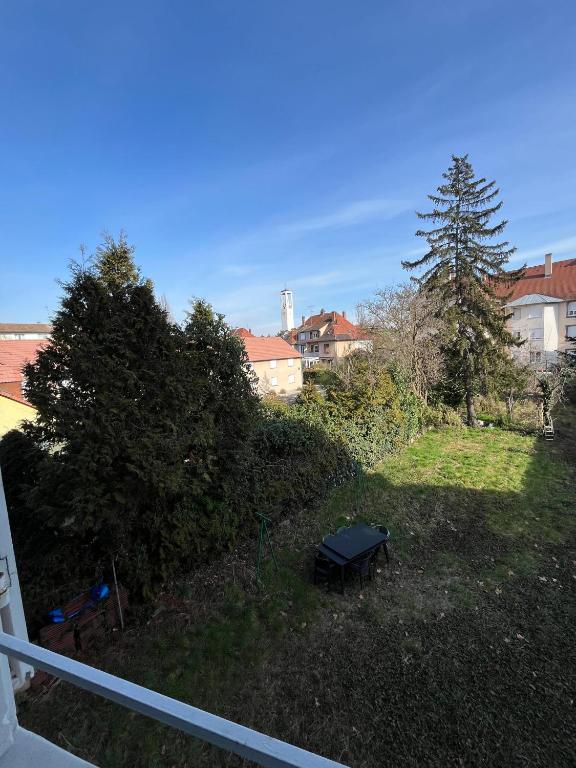 Chez Céline – photo 14