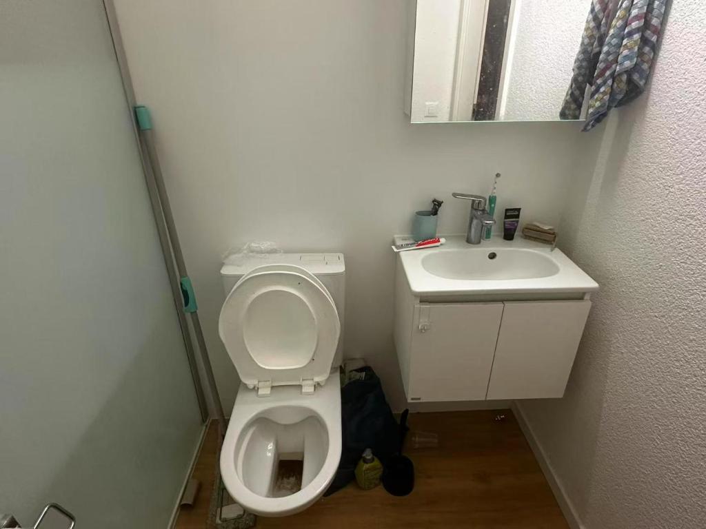une petite salle de bain avec toilettes et lavabo dans l'établissement Calme appt, à Bad Zurzach