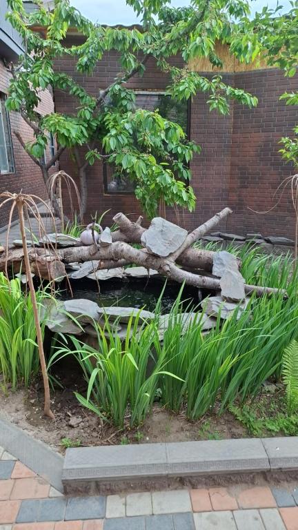 a garden with a pond with a tree and rocks at Барс in Bishkek