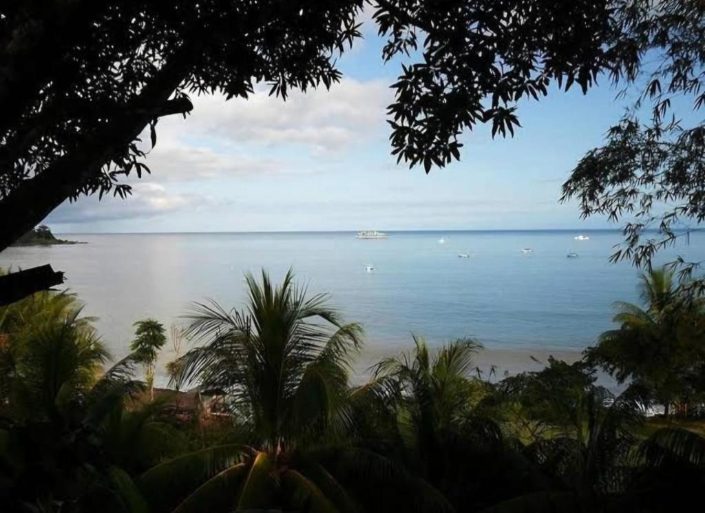 a view of a beach with boats in the water at Cabinas Nasua Drake in Drake