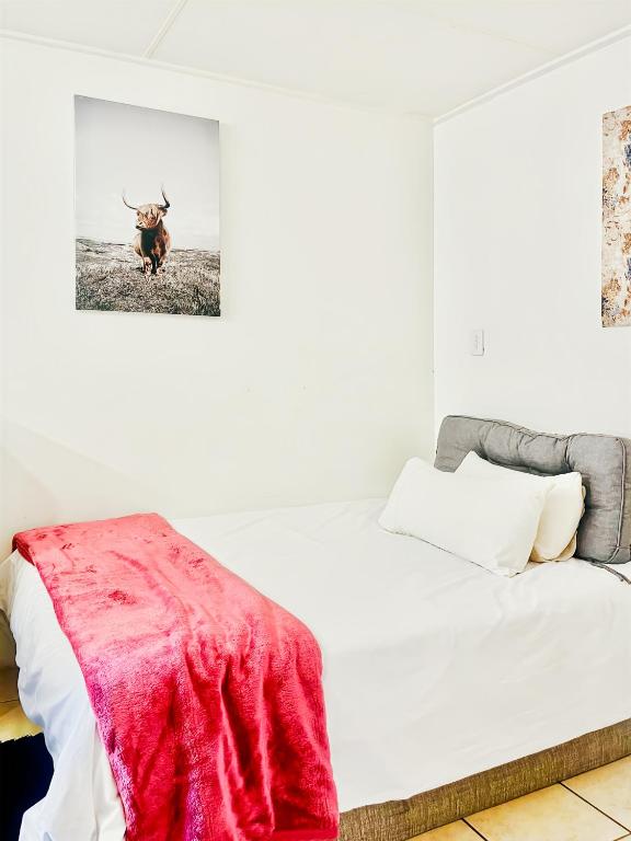 逊邱伦Peaceful tiny home的卧室里有一张床，床上铺着一条红毯子