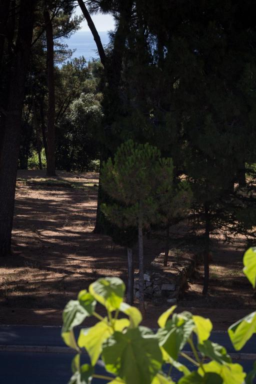 Apartments Tamburini - 18